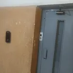 وادي النيل